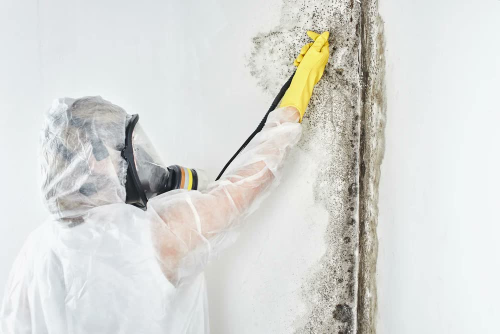 Mold remediation team working inside a contained room with air-control equipment